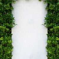 a frame of white space surrounded by green leaves - garden decoration stock-fotos und bilder