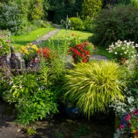a front garden full of colourful plants in pots in summer sunshine - garden decoration stock pictures, royalty-free photos & images