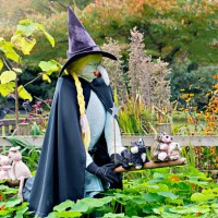 a garden scarecrow dressed as a which protecting crops - garden decoration stockfoto's en -beelden