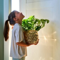 a girl holds a golden flower pot with a house plant and smiles. - garden decoration stock pictures, royalty-free photos & images