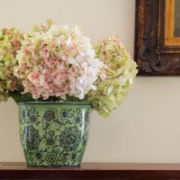 a green vase with some hydrangeas over against a wall and a part of a painting's frame. still life. - home decoration stock pictures, royalty-free photos & images