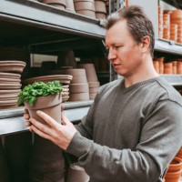 a male gardener chooses a pallet for a home flower in a flower shop or mall. gardening at home as a hobby for men. home gardening - garden decoration stock pictures, royalty-free photos & images
