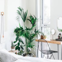 a modern, stylish and bright bedroom with plants - home decoration stock pictures, royalty-free photos & images
