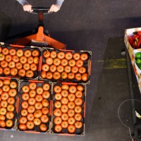 a pallet of tomatoes at a market - food stockfoto's en -beelden