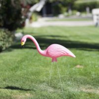 a plastic pink flamingo stuck in a lawn, close-up - garden decoration stock pictures, royalty-free photos & images