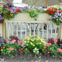 a porch with colorful flowers - garden decoration stock pictures, royalty-free photos & images