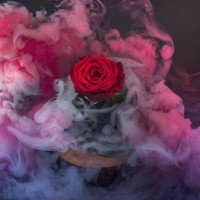 a red rose surrounded by swirling pink and purple smoke or mist,creating a mystical and ethereal atmosphere - garden decoration stock pictures, royalty-free photos & images