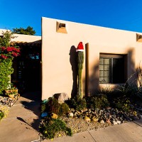 a seguaro cactus adorned with a santa hat - garden decoration stock pictures, royalty-free photos & images
