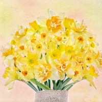 a still-life image of a beautiful spring bouquet of yellow daffodils - narcissus - garden decoration stock pictures, royalty-free photos & images