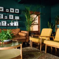 a stylish living room interior with brown and yellow coloured furniture and wooden elements with dark green coloured wall. decorated with plants and butterfly specimen - home decoration stock pictures, royalty-free photos & i
