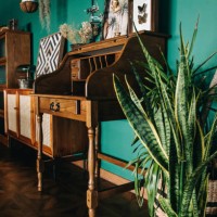 a stylish loft living room interior with brown coloured rattan furniture and wooden elements with dark green coloured wall. decorated with plants and art pieces - home decoration stock pictures, royalty-free photos & images