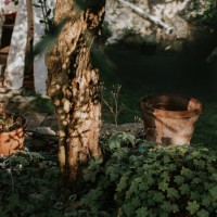 a sun-dappled raised flower bed in a beautiful garden - garden decoration stock pictures, royalty-free photos & images