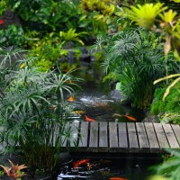 a tropical garden with a bridge and a fish pond - garden decoration photos et images de collection