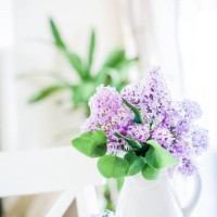 a vase of flowers. - garden decoration stock pictures, royalty-free photos & images