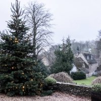 a winter garden, a tall pine tree with lights in the branches, christmas decorations. a traditional stone cottage with slate roof and smoke rising from the chimney. - garden decoration stock pictures, royalty-free photos & im