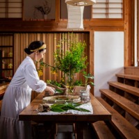a woman cutting herbs and vegetables in the kitchen. - home decoration stock pictures, royalty-free photos & images
