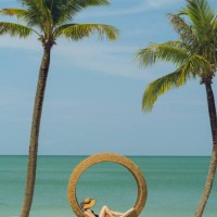 a woman in a black bikini with a hat lies in a chair shaped like a bird's nest by the beach and two coconut trees. - garden decoration stock pictures, royalty-free photos & images