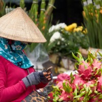 a woman wearing a straw hat using a smart phone. - garden decoration stock pictures, royalty-free photos & images