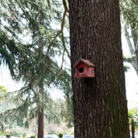a wooden house made of old boards for a squirrel or bird on a tree trunk in a forest or park. animal care, environmental protection. birdhouse for nest formation. environmental protection. - garden decoration stock pictures,
