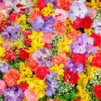 abstract background with bunches of different varieties of colourful flowers. - garden decoration stock pictures, royalty-free photos & images