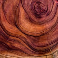 abstract hardwood - home decoration stock pictures, royalty-free photos & images