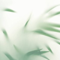 abstract silhouette shadow white background of natural leaves palm tree branch falling on wall. transparent blurry shadow of tropical leaves morning sun light. - fashion stock pictures, royalty-free photos & images