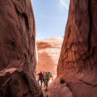 adventure team - travel stock pictures, royalty-free photos & images
