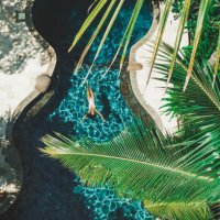 aerial drone view of woman floating on water surface in luxury pool in tropical garden - travel stock-fotos und bilder