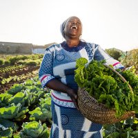 african woman laughing - food stock pictures, royalty-free photos & images