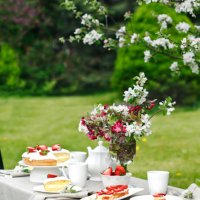 afternoon tea, cakes and bruschetta with ricotta and strawberry in the garden. - garden decoration stock pictures, royalty-free photos & images