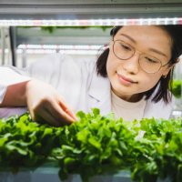 agricultural researchers monitoring vegetables in a hydroponic greenhouse - food stock pictures, royalty-free photos & images