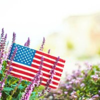 american flag in nature with copy space - garden decoration stock pictures, royalty-free photos & images