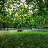 an empty bench with leaves and greenery in hyde park, london - garden decoration photos et images de collection