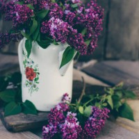 an enamelled coffee pot with a bouquet of fresh lilacs against the background of an old wooden; composition in a rustic style on a wooden background - garden decoration stock pictures, royalty-free photos & images