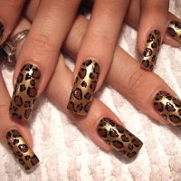 animal nail art - nails art photos et images de collection