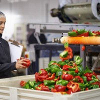 another step closer to your table - food stock pictures, royalty-free photos & images