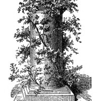 antique illustration of plant and flowers arrangements in vase - garden decoration stock illustrations