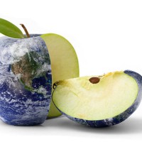 apple - food stock pictures, royalty-free photos & images