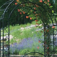 arbor with flowers - garden decoration stock pictures, royalty-free photos & images
