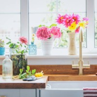 arranging cut flowers from late summer in the kitchen - home decoration stock pictures, royalty-free photos & images
