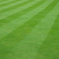 artificial grass textured background with stripe - garden decoration stockfoto's en -beelden