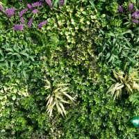 artificial plant leaf plastic panels over a building's exterior wall - garden decoration stock pictures, royalty-free photos & images