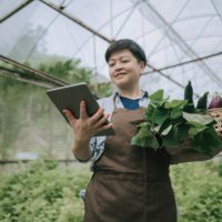asian chinese mid adult woman examining her organic farm growth with digital tablet recording - food stock pictures, royalty-free photos & images
