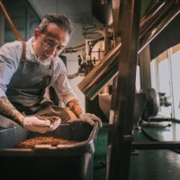 asian chinese senior man craftsperson examining roasted coffee bean de-stoning stone removal process after spinning out from cooling process in his factory - coffee stock pictures, royalty-free photos & images