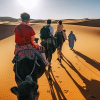 asian chinese tourists riding on dromedary camel train crossing sahara desert morocco led by tour guide herdsman during sunset - travel stockfoto's en -beelden