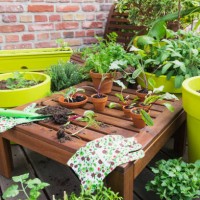 assorted potted plants and gardening tools on balcony - garden decoration photos et images de collection