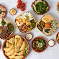 assortment of lebanese dishes - food stockfoto's en -beelden