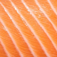 atlantic salmon belly - food stock pictures, royalty-free photos & images