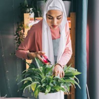 attractive concentrated professional florist muslim woman in white covered head veil hijab, gardening indoor. trimming by scissors, secateurs yellow sick leaves of spathiphyllum plant. - garden decoration stock pictures, roya