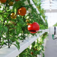 automated hydroponic farm - food stock pictures, royalty-free photos & images